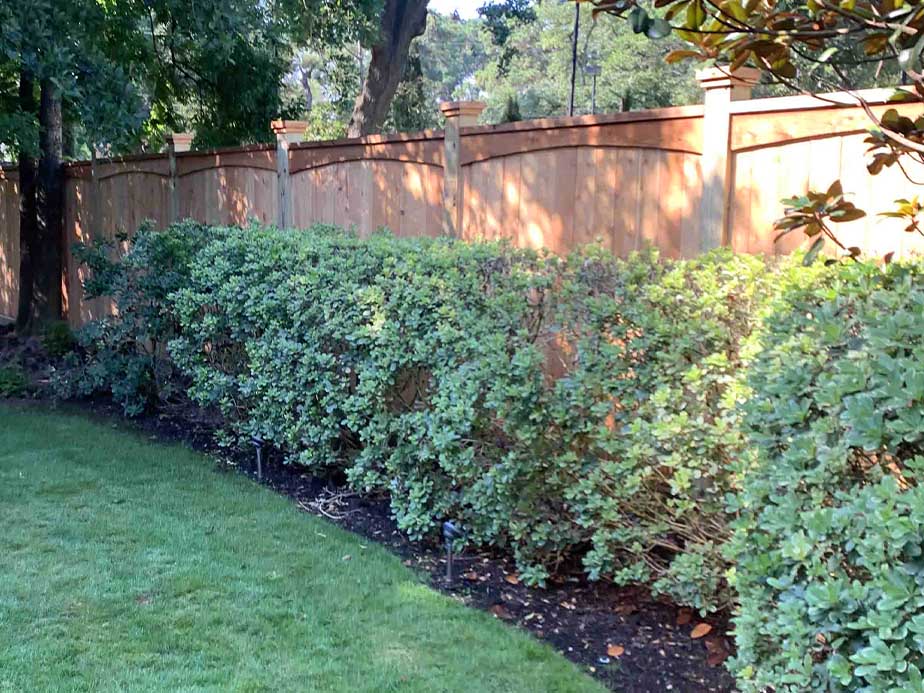 River Oaks TX cap and trim style wood fence